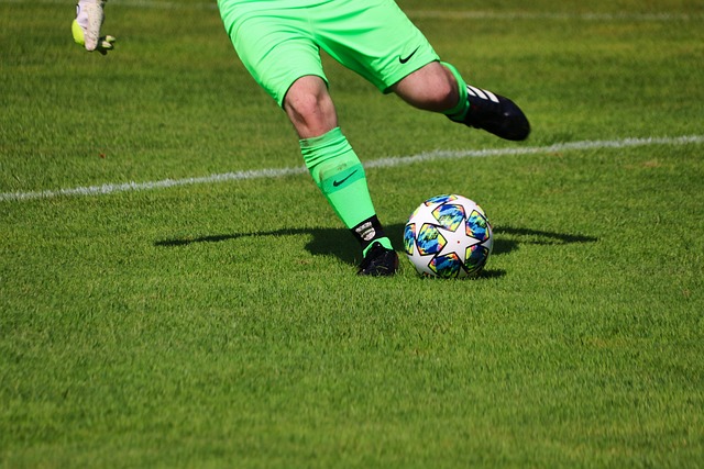 的奋力拼搏 的奋力拼搏