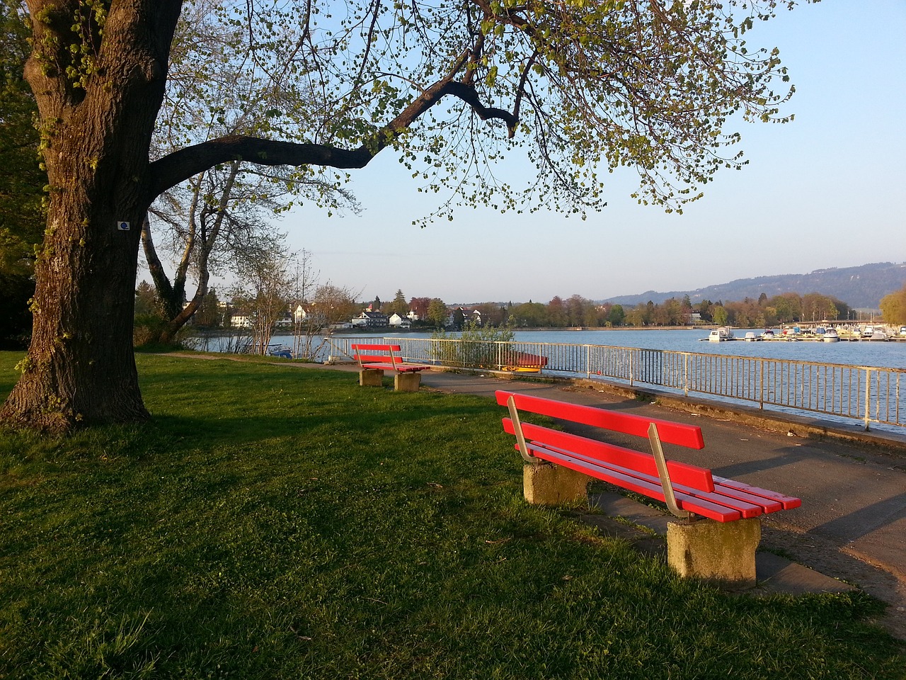 这个标准在 这个标准在